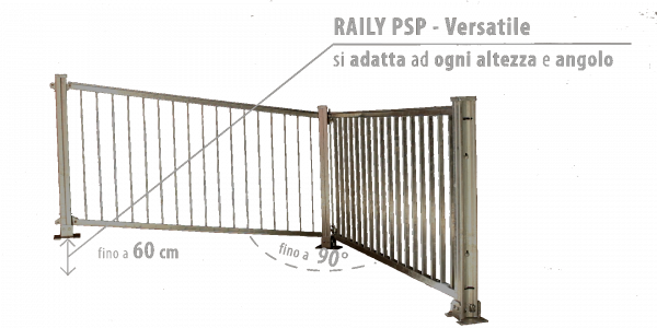 Raily PSP - VersatileTrasparente Dark